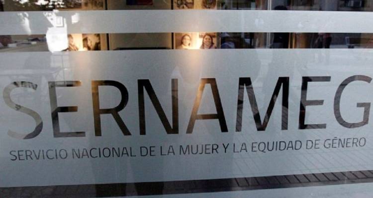 Sernameg Atacama Valora La Condena A Autor De Femicidio Frustrado En