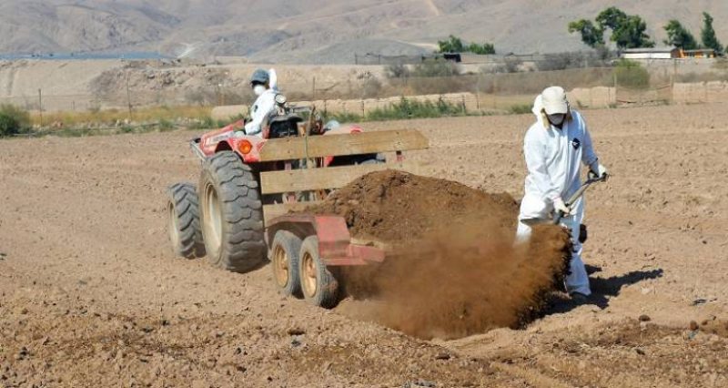 Convocatoria abierta para concurso de mejoramiento de suelos agrícolas 2025